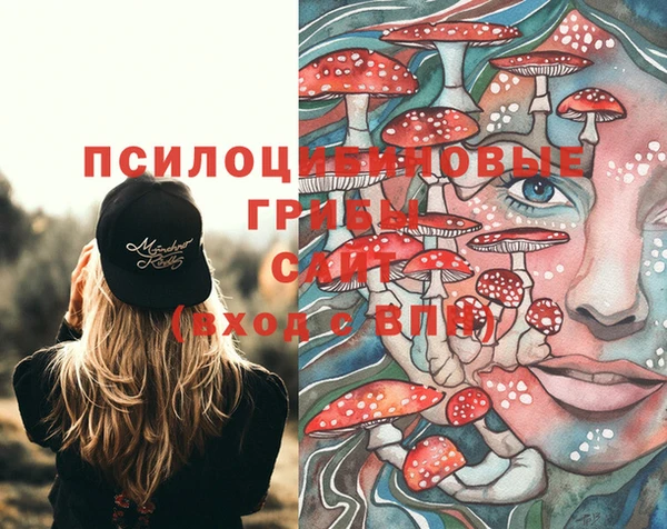 синтетический гашиш Надым
