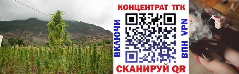 ТГК THC oil  блэк спрут рабочий сайт  Лермонтов  магазин   