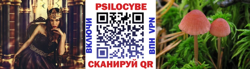 Псилоцибиновые грибы Cubensis  купить наркотик  Лермонтов 